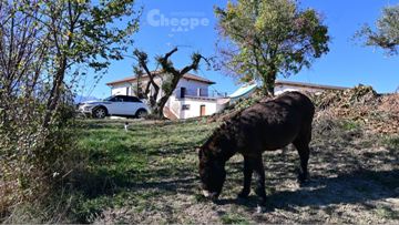 AGRITURISMO -FATTORIA DELLE COCCINELLE, Montefino (TE)
