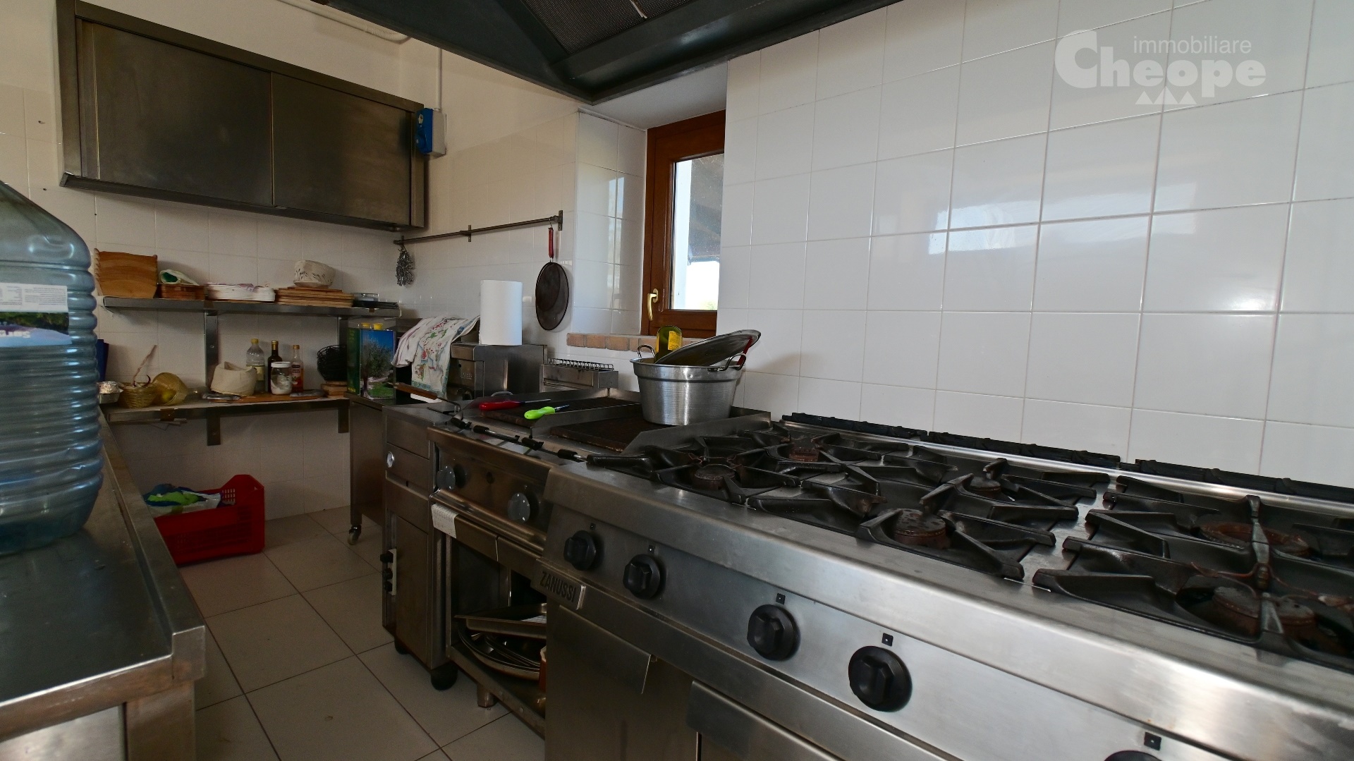 FattoriaCoccinelle_DSC_1938.JPG