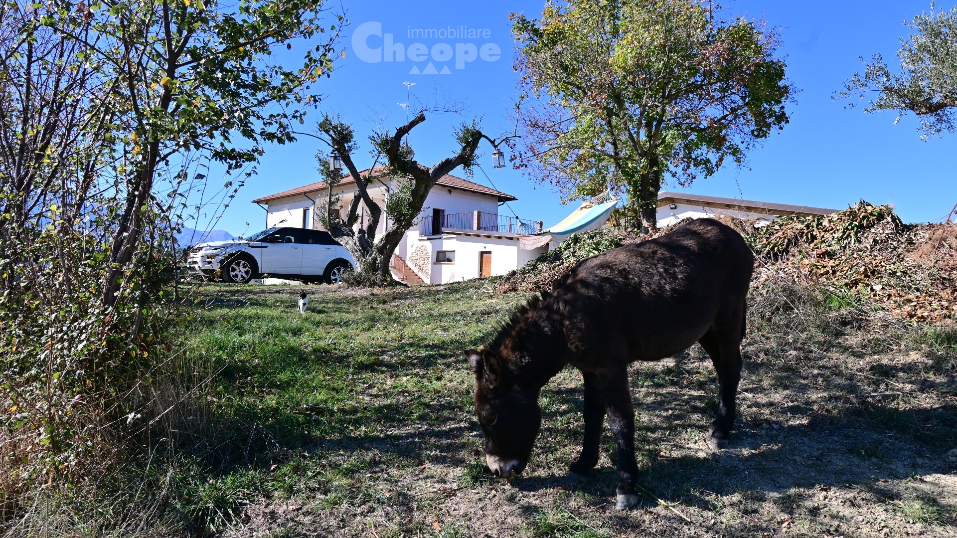 FattoriaCoccinelle_DSC_1983.JPG