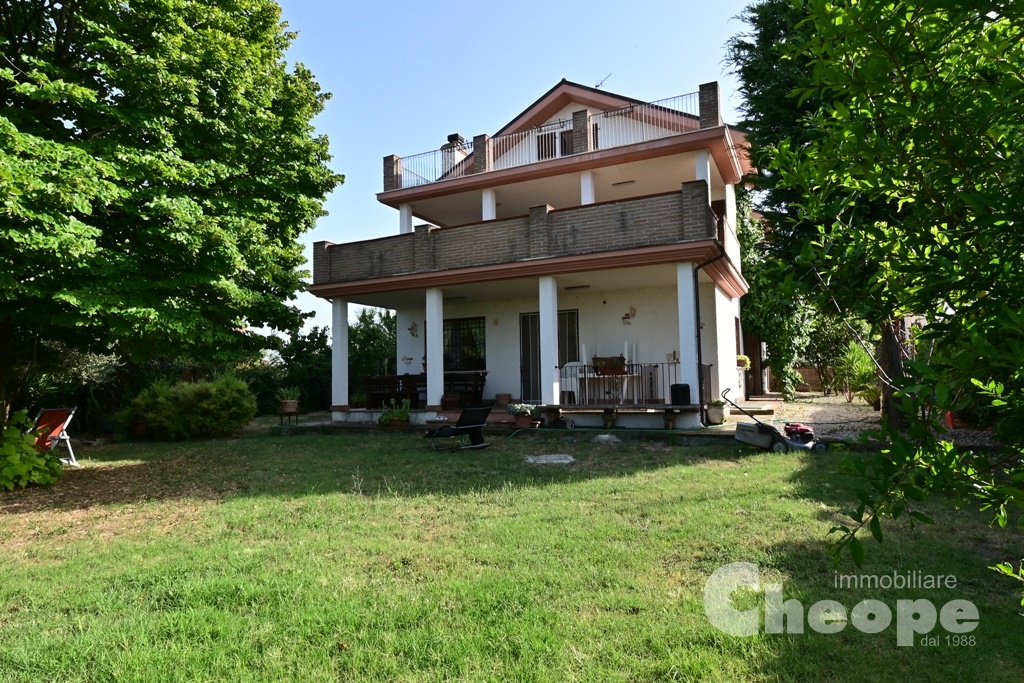 Z62_5797.JPG