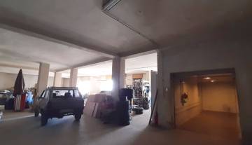 20230412_110546.jpg