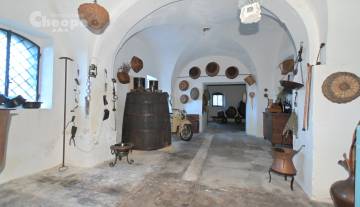 DSC_1511.JPG