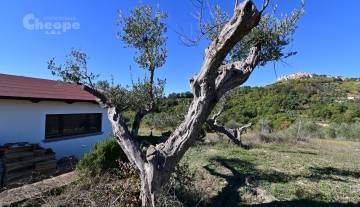 FattoriaCoccinelle_DSC_1988.JPG